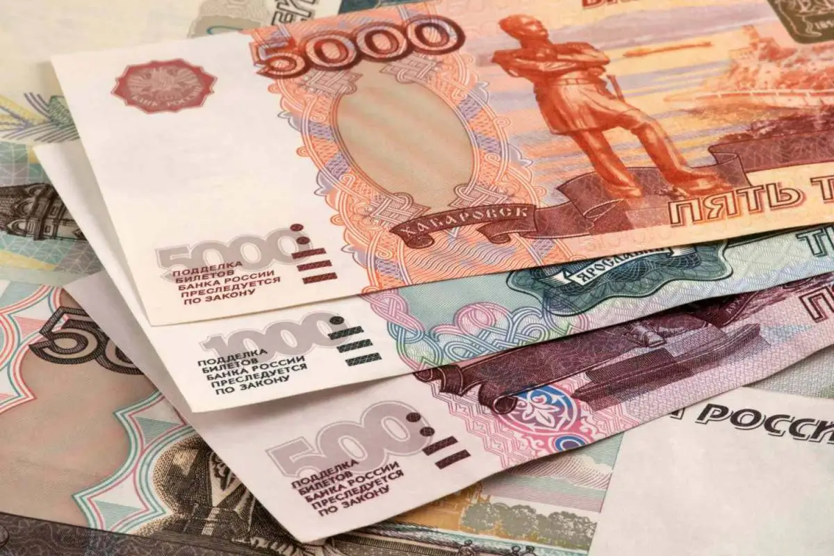 Russian Ruble Hits 20-Month Low, Central Bank Halts Foreign Currency Purchases