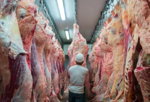 Argentine Beef Exports Hit 57-Year High in 2024