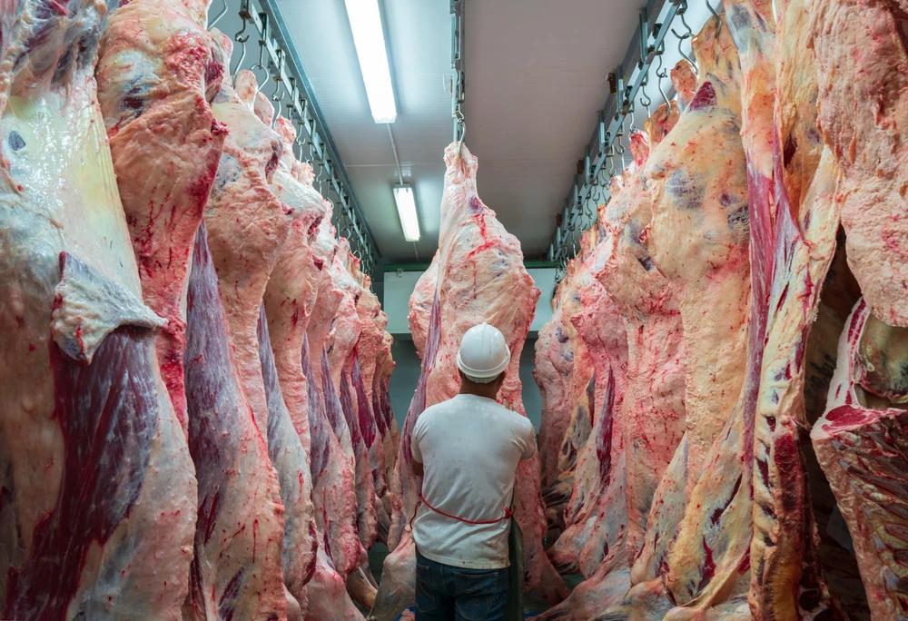 Argentine Beef Exports Hit 57-Year High in 2024