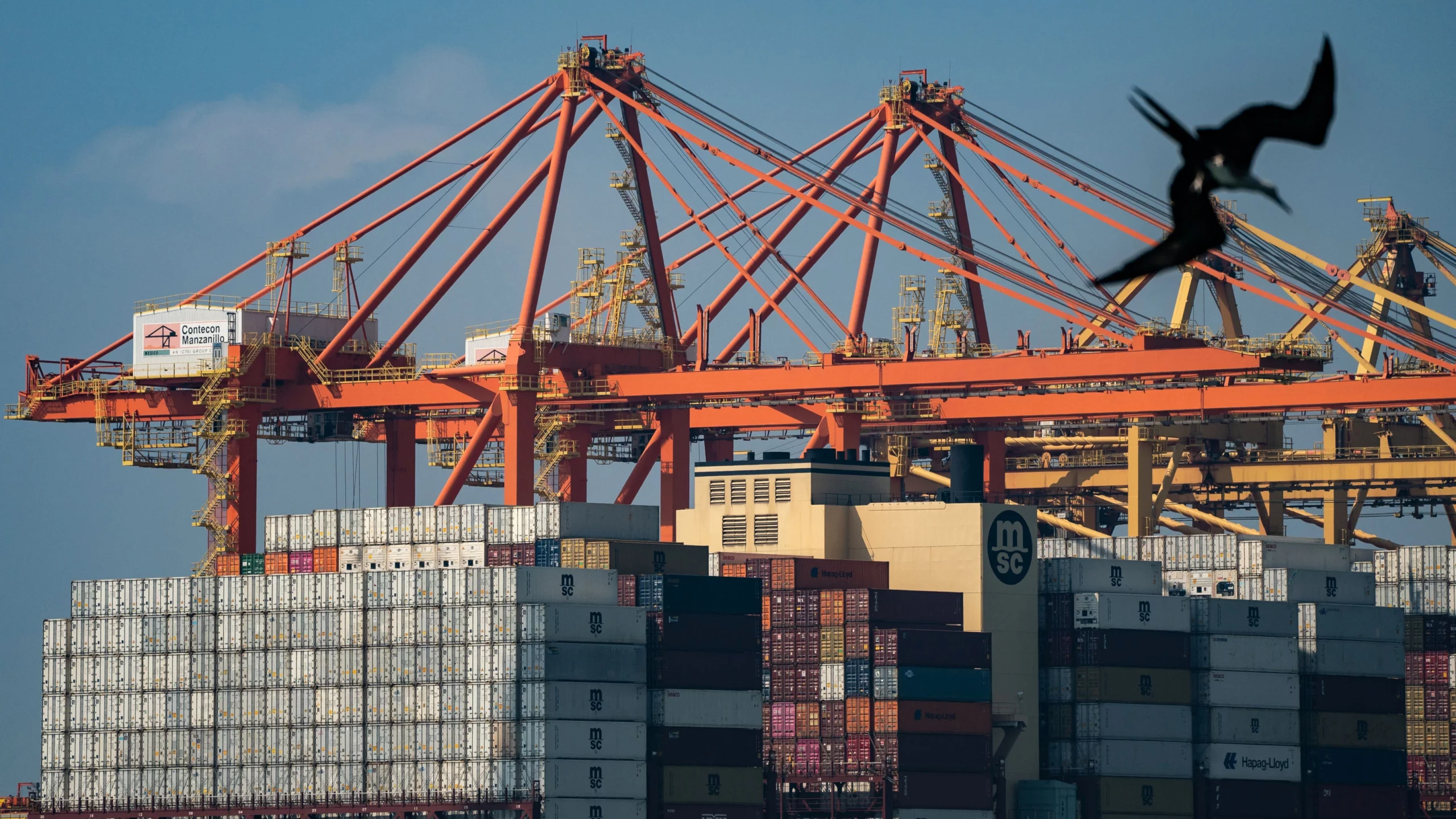 Mexico's Plan B: Cutting Chinese Imports to Boost North American Manufacturing
