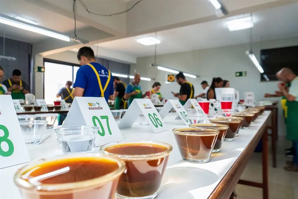 Brazilian Farm Wins World's Best Coffee Award 2024