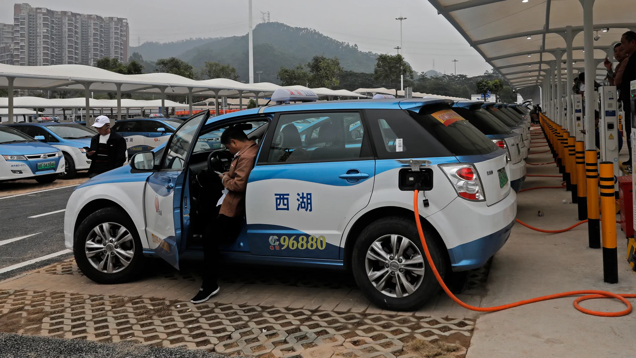 BYD Leads Chinese EV Surge with 67.9% Sales Growth in November. (Photo Internet reproduction)