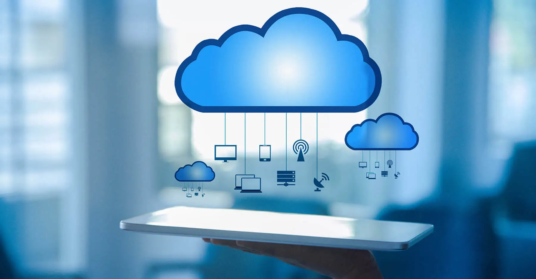 Cloud-Based Entity Management Software