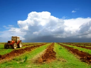 Brazil's GDP Growth to Slow in 2025 Despite Agricultural Boost