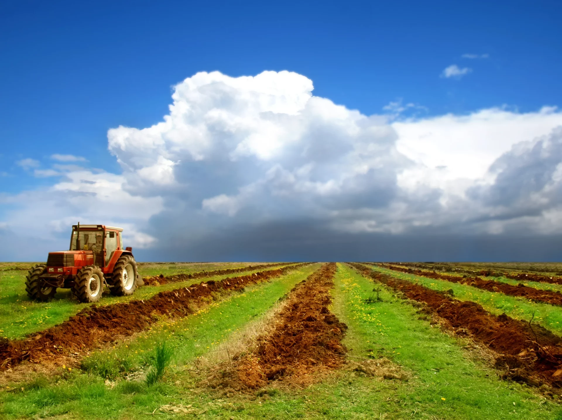 Brazil's GDP Growth to Slow in 2025 Despite Agricultural Boost