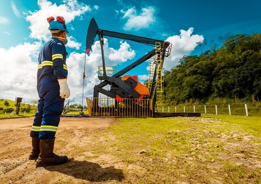 Petrorenovacao