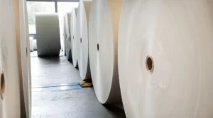 Suzano Explores Clearwater Paper Acquisition as Part of U.S. Expansion Strategy