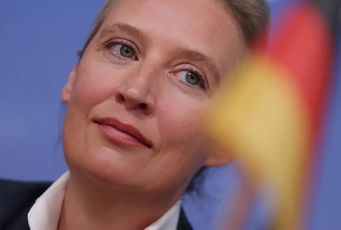alice-weidel-afd-scaled