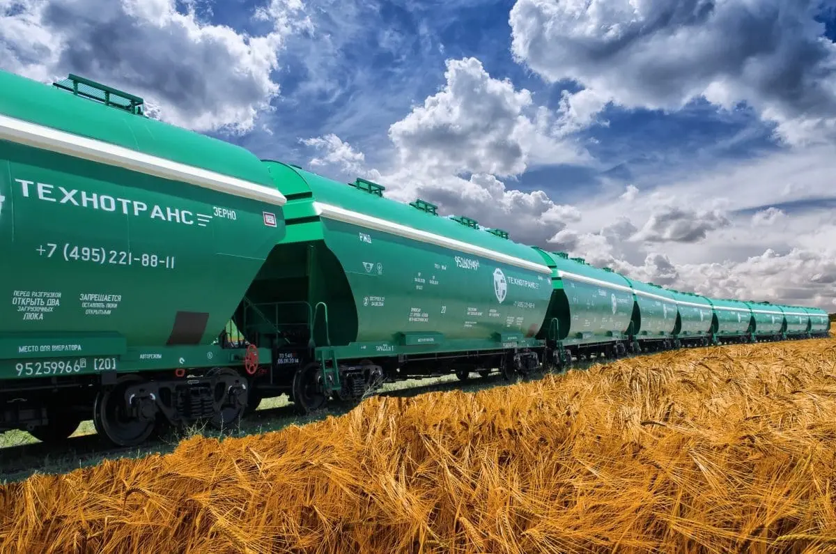 Russian Grain Harvest Dips but Maintains Global Market Position. (Photo Internet reproduction)