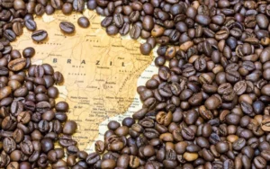 Brazilian Coffee Exports Soar to New Heights Amid Logistical Challenges