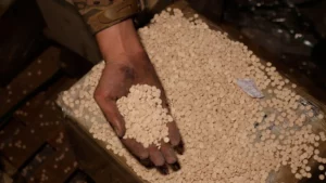 Syria's $5.7 Billion Drug Empire Crumbles as New Government Burns Million-Dollar Stockpile