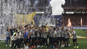Botafogo Dominates Brasileirão Awards with Five Players in Ideal Team