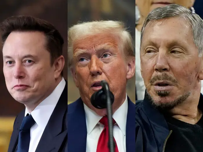 Trump Backs Musk or Ellison as Potential TikTok Buyers
