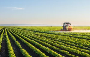 Agricultural Surge: Brazil's GDP Growth Driver for 2025