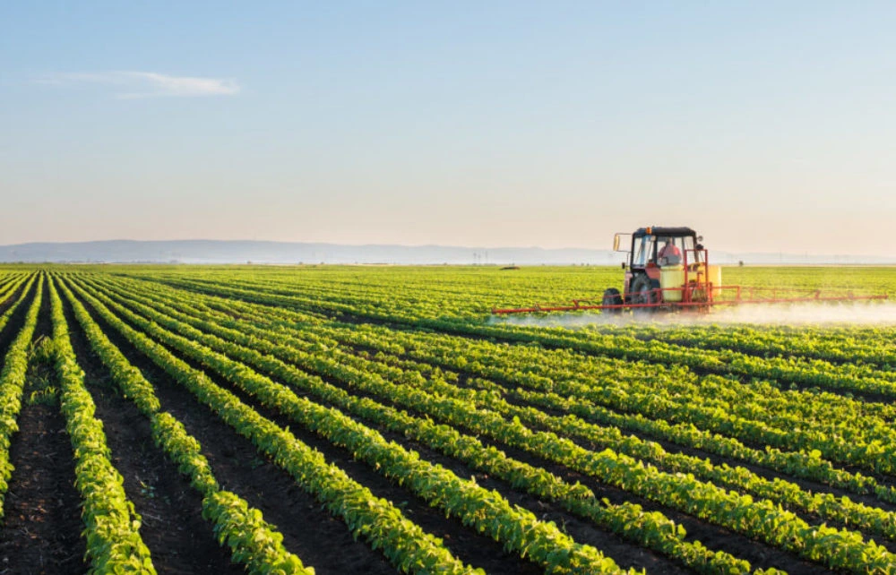 Agricultural Surge: Brazil's GDP Growth Driver for 2025