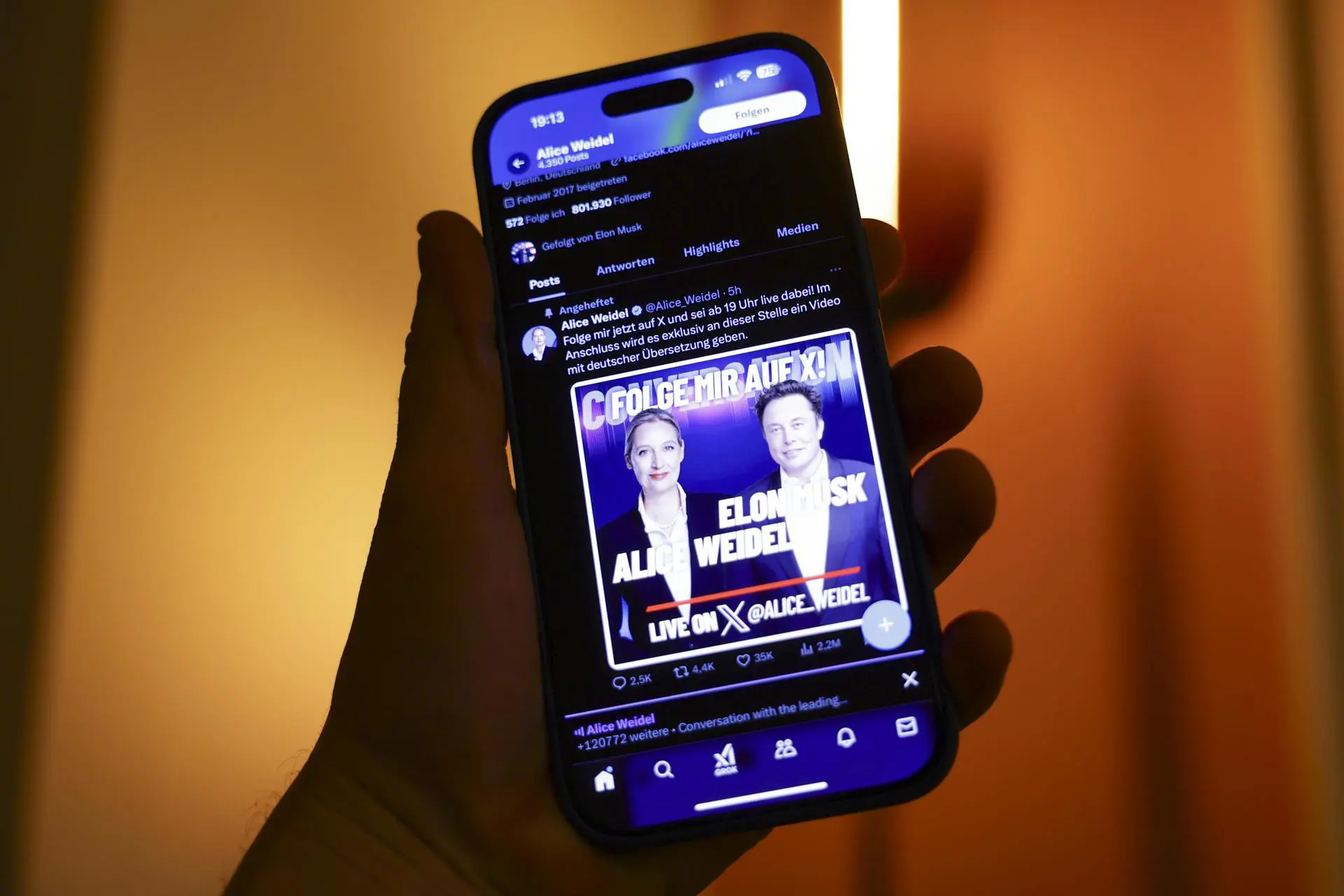 Musk Weidel