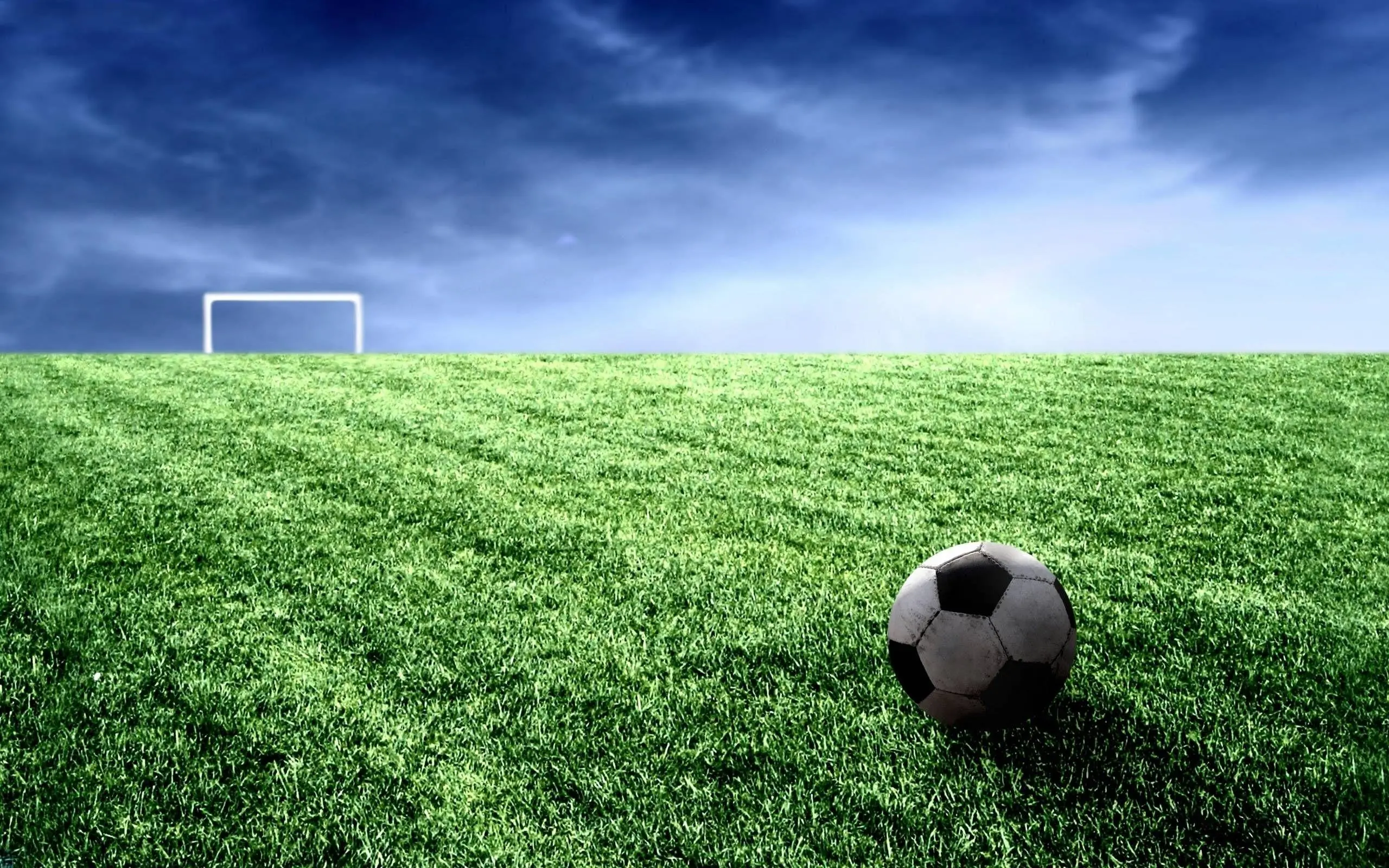 Soccer 44