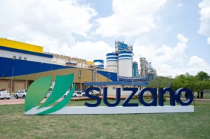 Suzano Harnesses A.I. to Transform Forestry Management