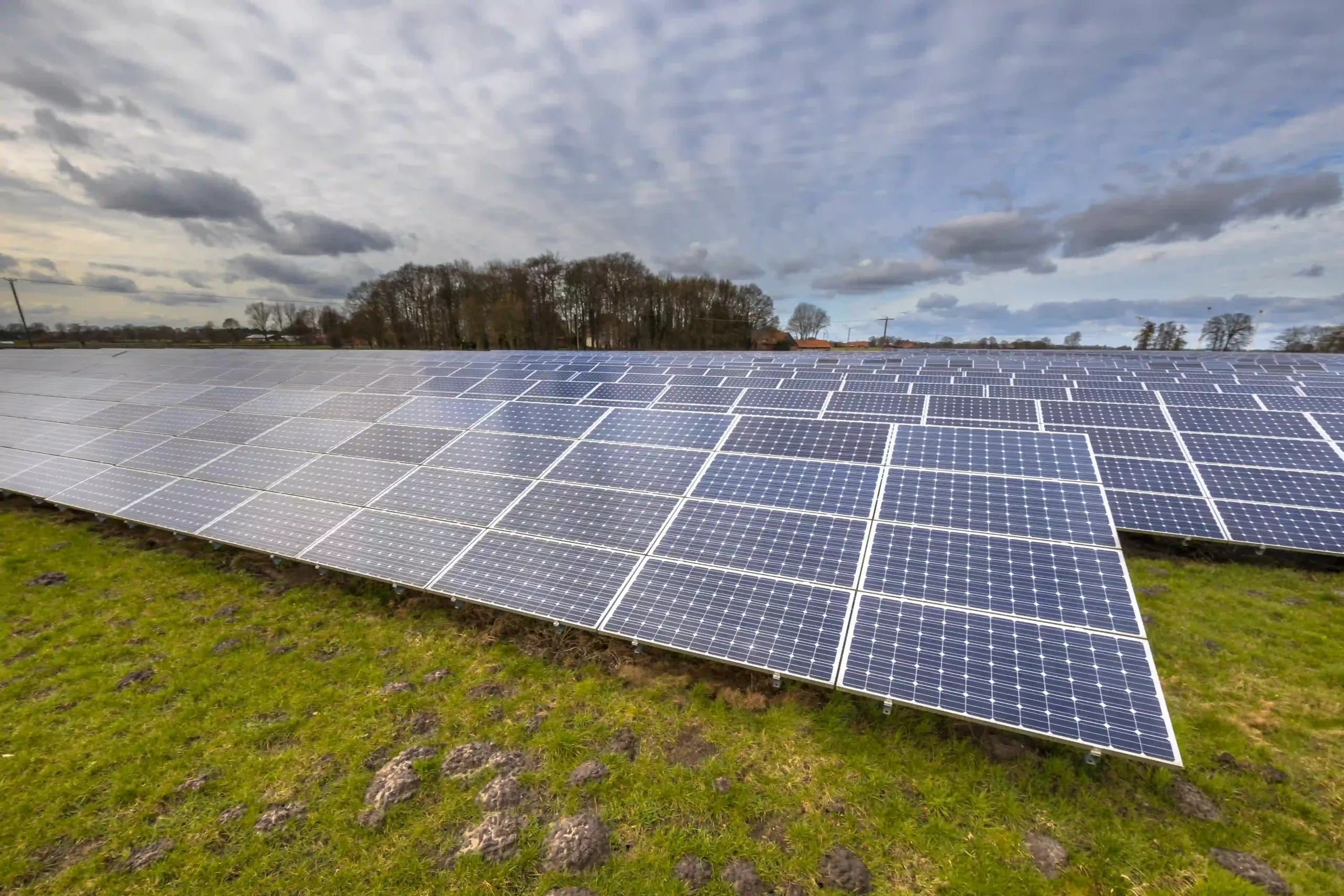 Brazil Cuts Solar Power for First Time as Output Floods Grid