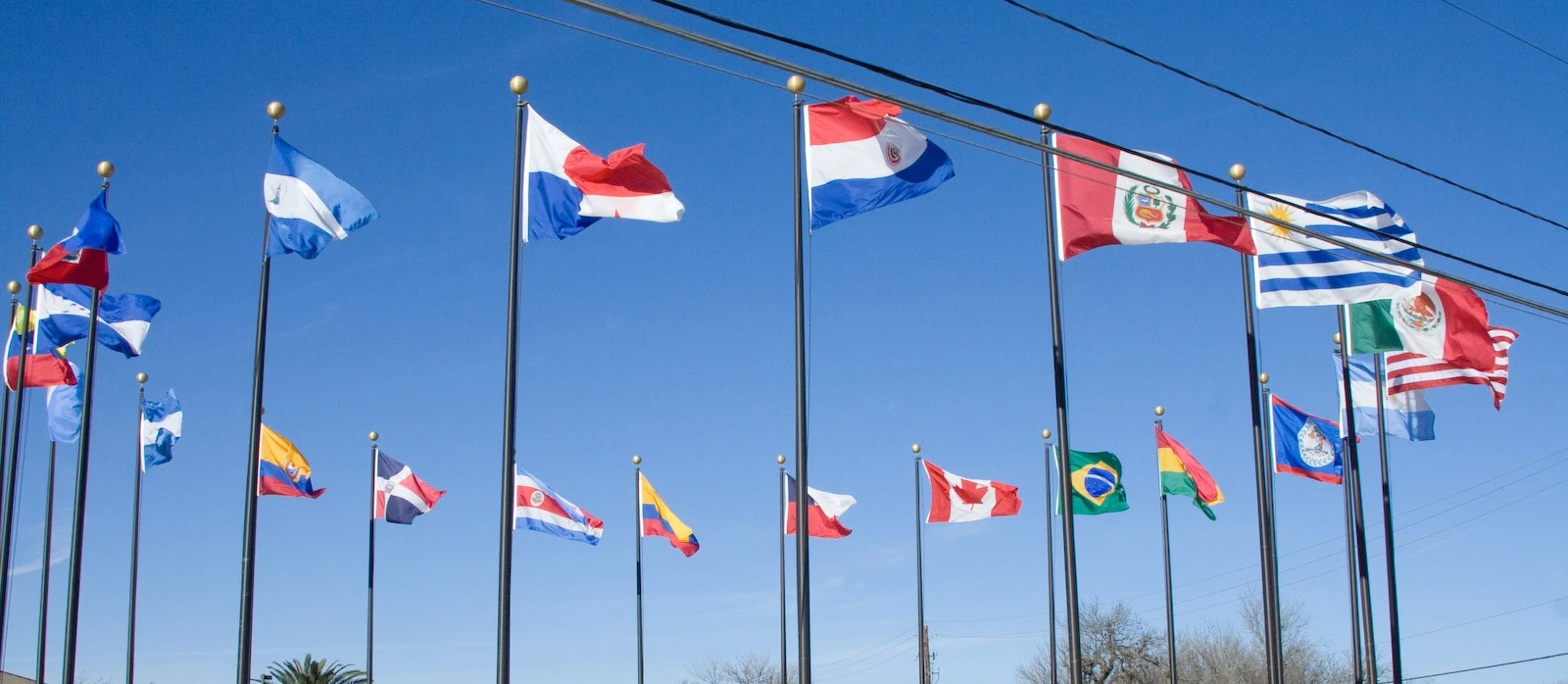 Latin America's Pulse: A Week of Culture, Politics, and Progress