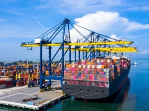 Argentina Achieves Record Trade Surplus in 2024