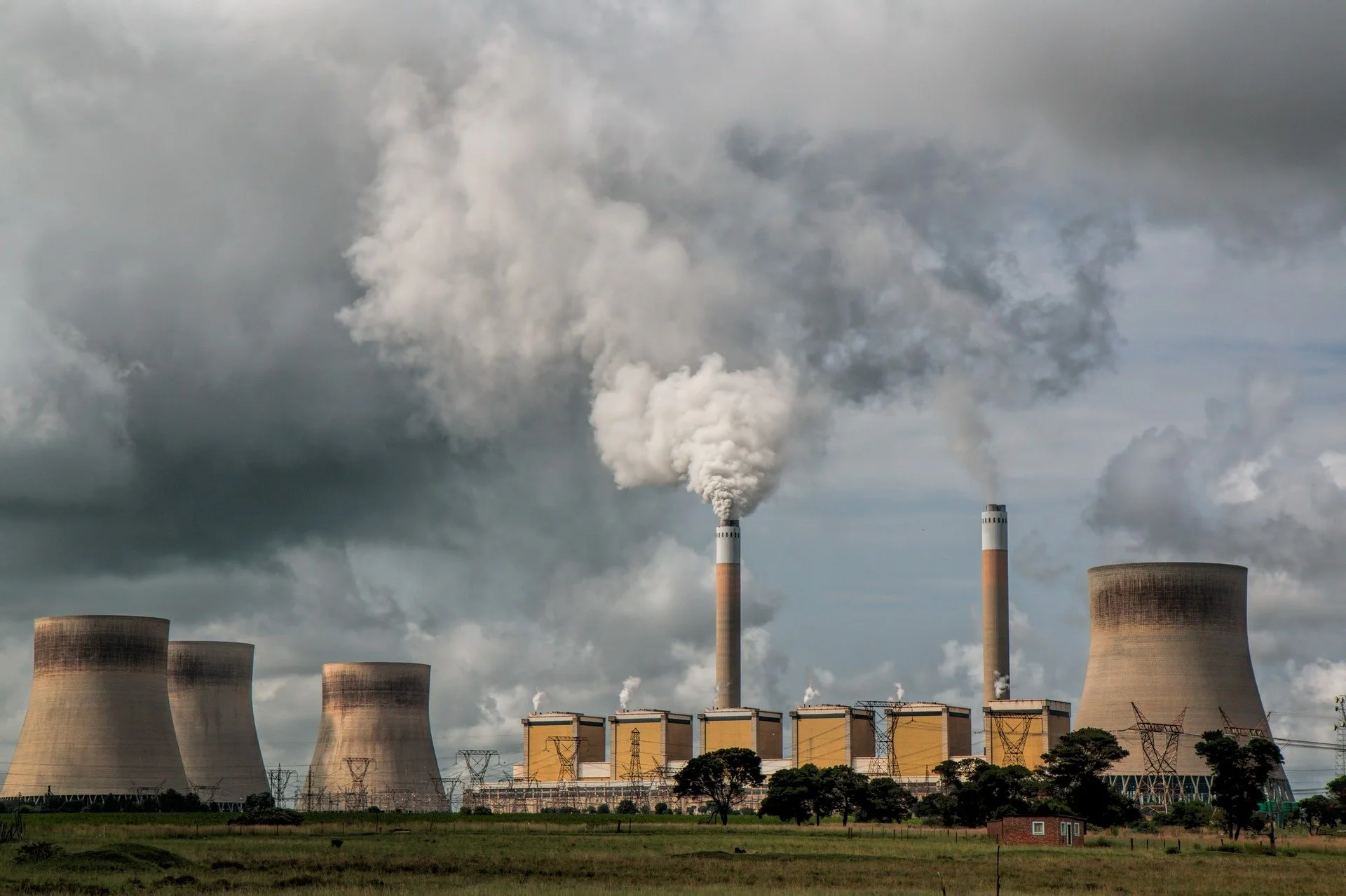 Global Carbon Market Faces Challenges as Brazil Emerges as a Sustainability Leader