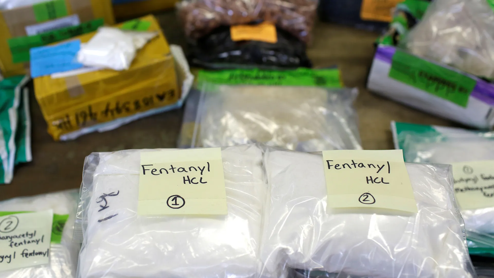 Fentanyl Crisis Spurs Mexico’s Call for Joint U.S.-Canada Investigation