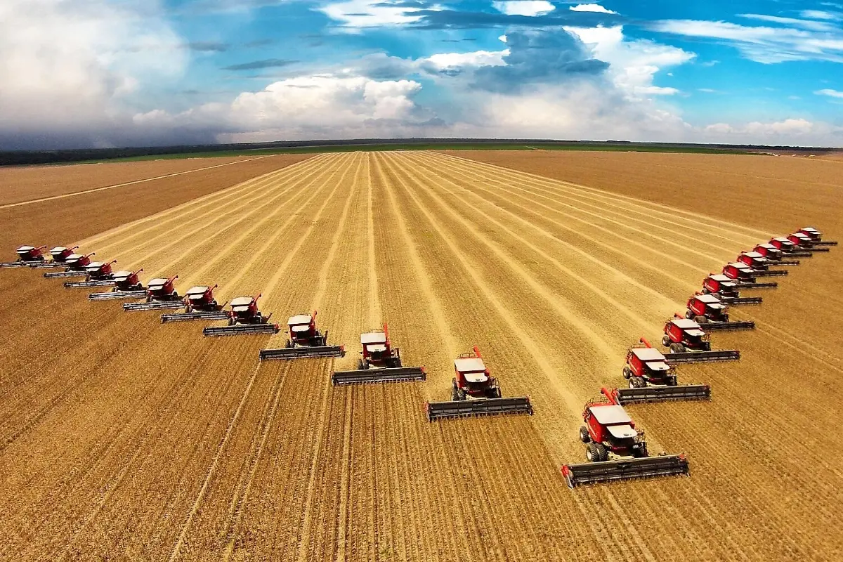 New Era for Brazil's Economy: Industry Outstrips Agro in State Funding