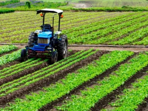 India's $19.5 Billion Agricultural Investment Targets Growth and Food Security