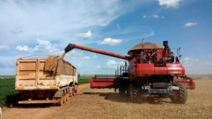 Brazilian Government to Invest $12 Billion in Grain Harvest Logistics for 2025