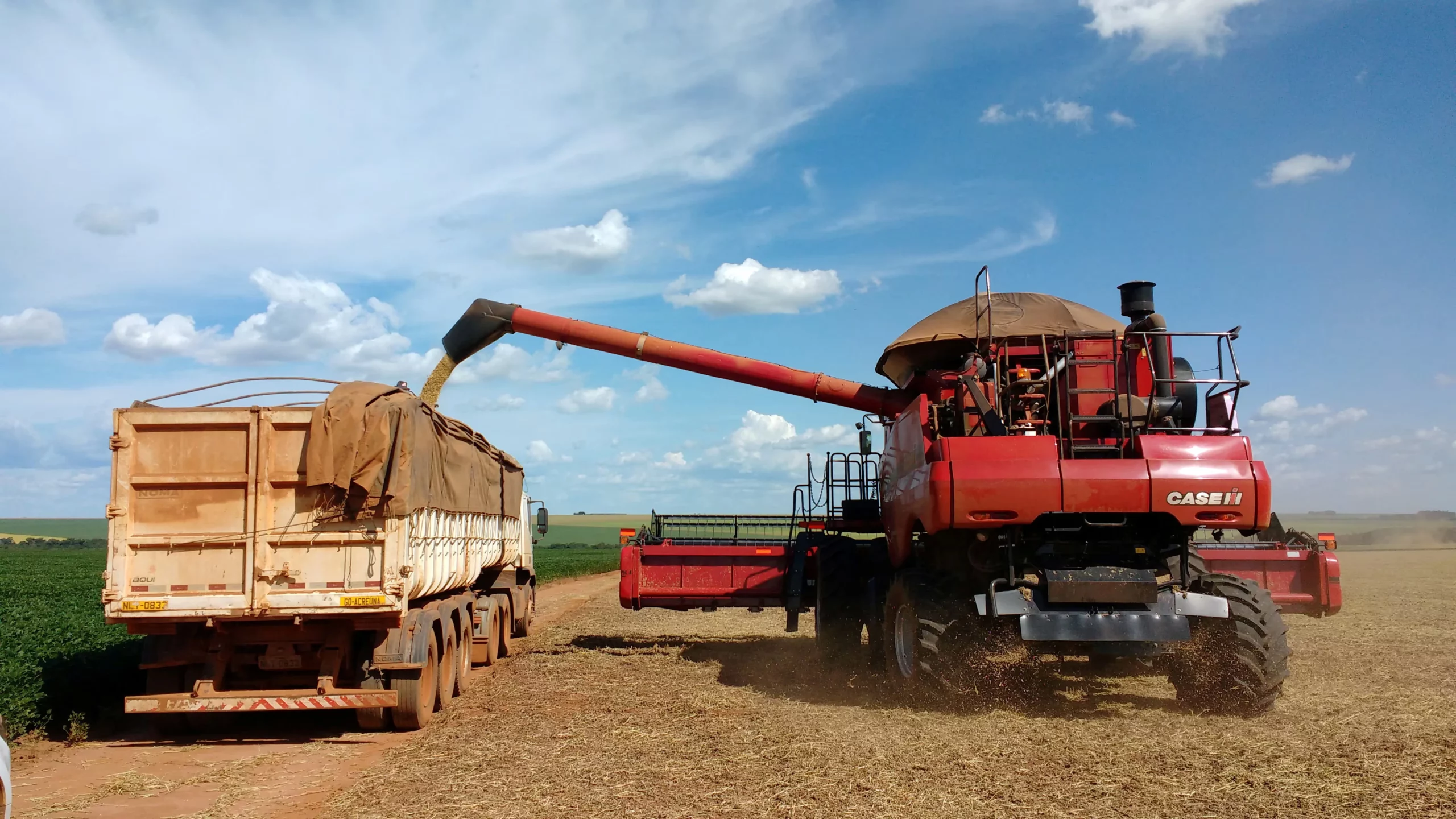 Brazilian Government to Invest $12 Billion in Grain Harvest Logistics for 2025