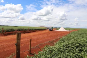 Centro-Oeste Leads Brazil’s Economic Growth with Agricultural Resurgence