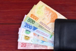 Argentina Shifts Debt Strategy: Local Up, Foreign Down in 2024