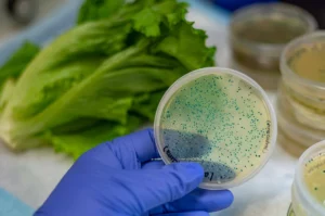 Food Recalls Surge in 2024: Why Safety Is Faltering