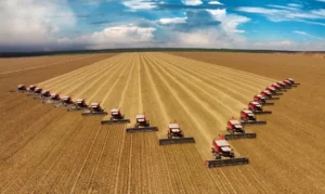 Brazil Projects Record Grain Harvest of 325.7 Million Tons for 2024/25 Season