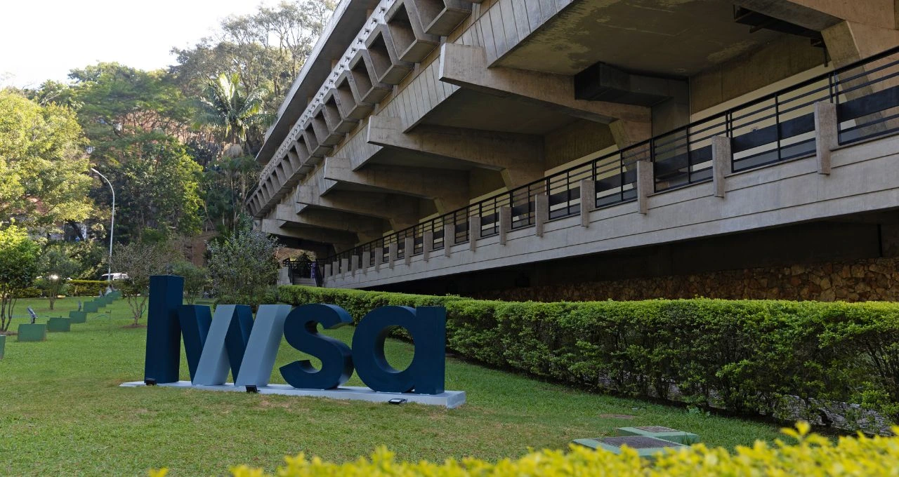 LWSA Slashes Q4 Losses by 61%, Achieves Profitable 2024