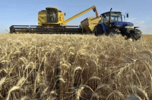 Argentina’s Agro-Export Revenue Surges 45% Amid Tax Cuts