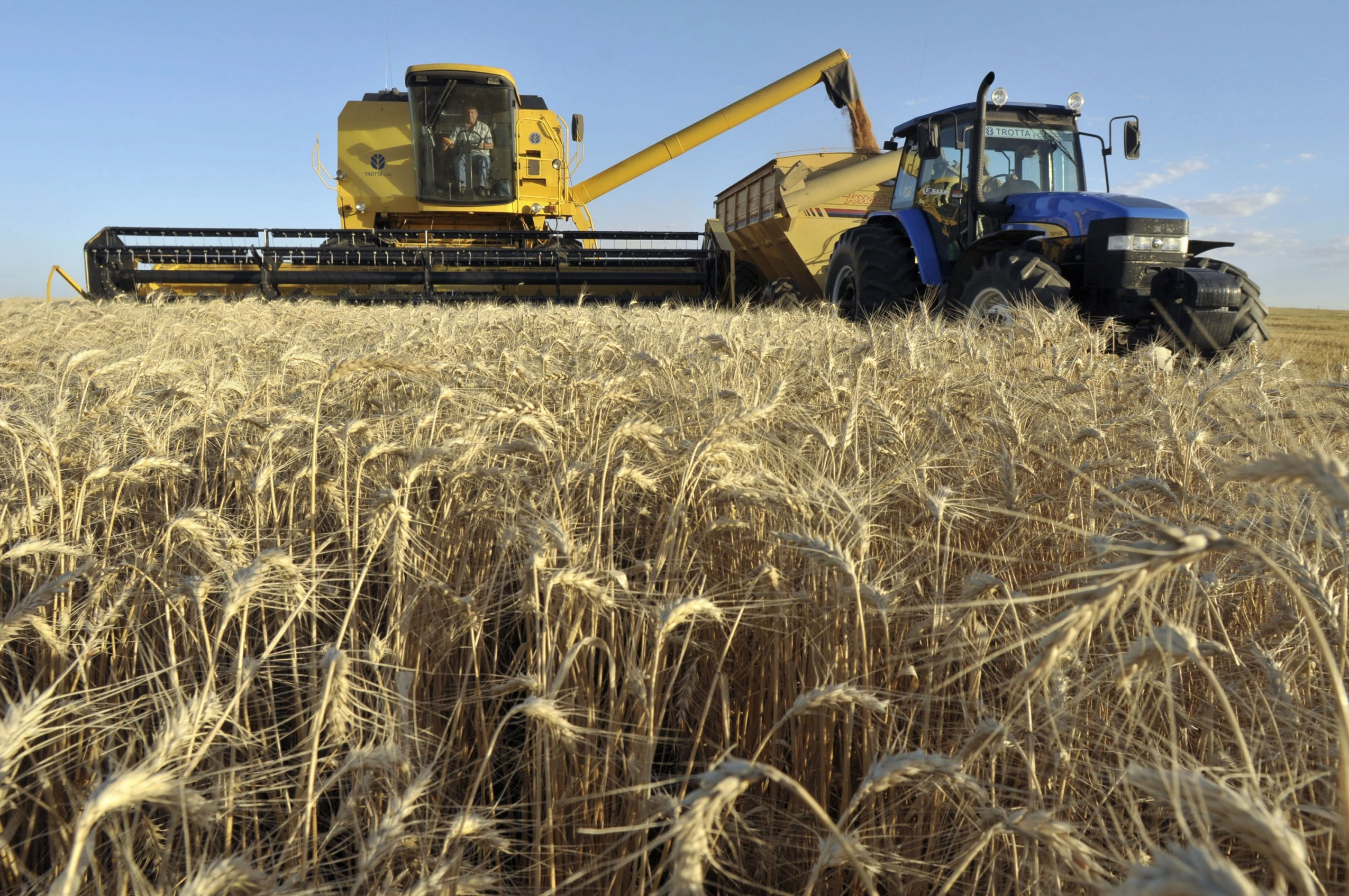 Argentina’s Agro-Export Revenue Surges 45% Amid Tax Cuts