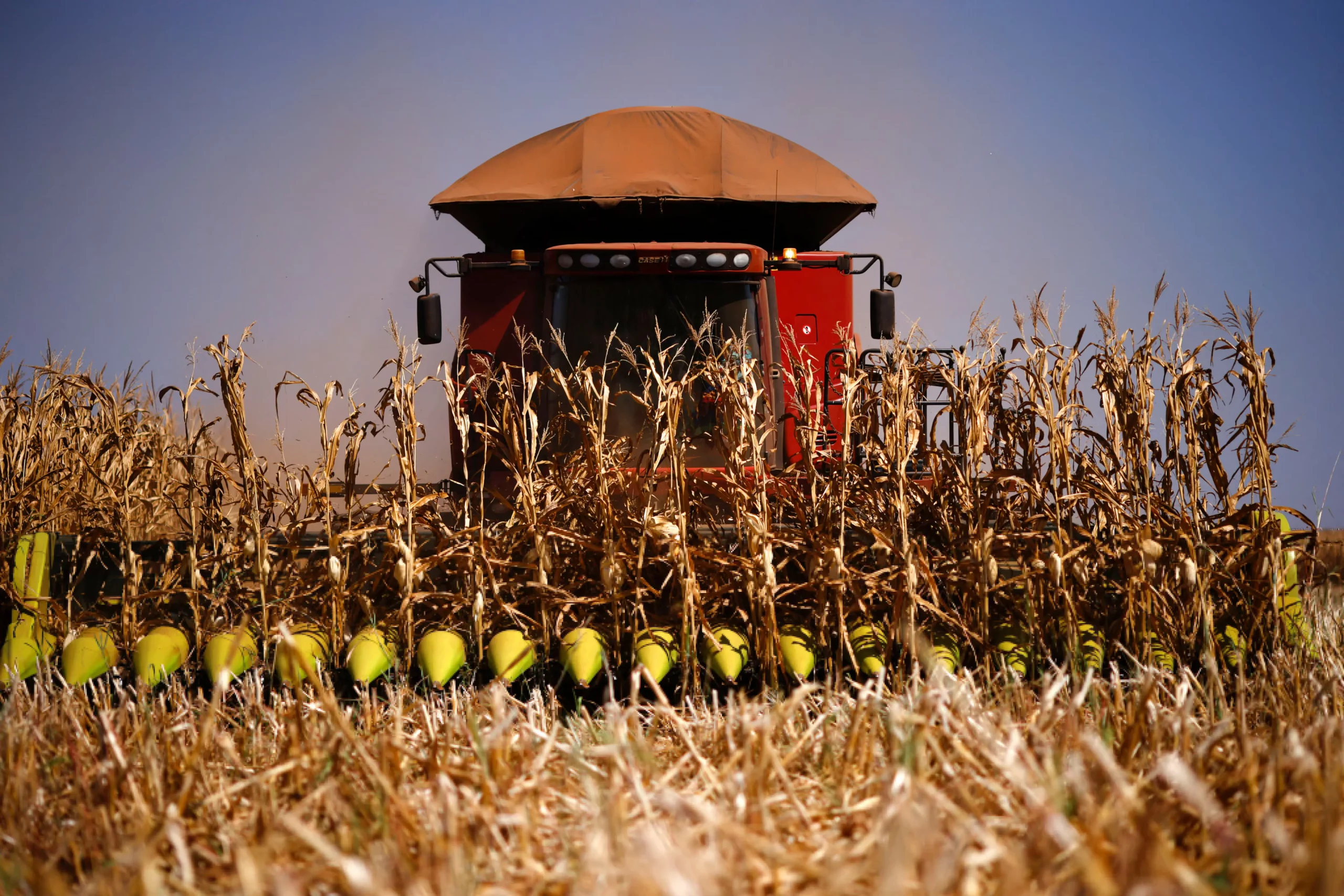 Brazil Poised to Replace U.S. as Global Food Supplier Amid Trade Shifts