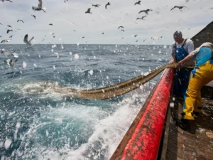 Guatemala Joins Global Effort to Combat Harmful Fishing Subsidies