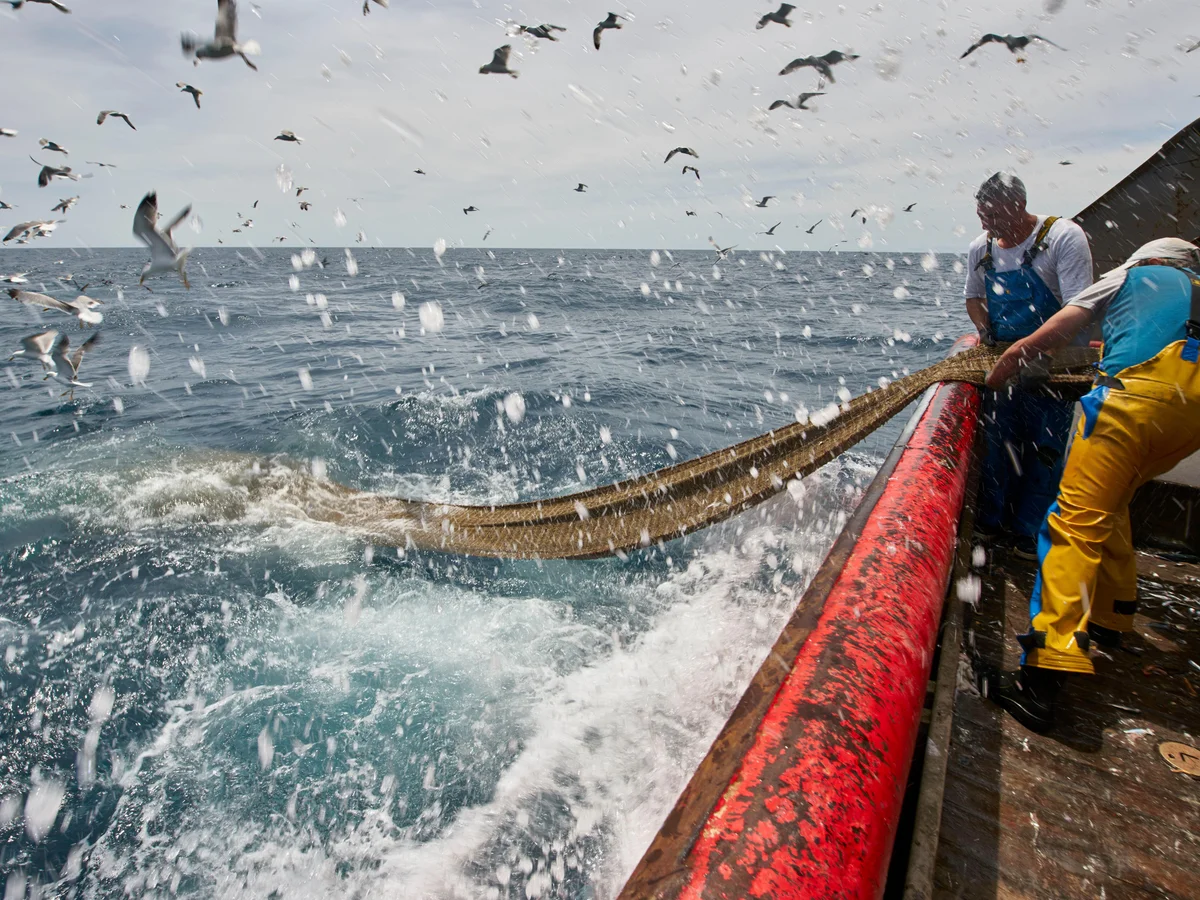 Guatemala Joins Global Effort to Combat Harmful Fishing Subsidies