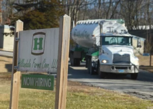 Global Powerhouse Emerges as Brazil's Global Eggs Acquires U.S. Hillandale Farms