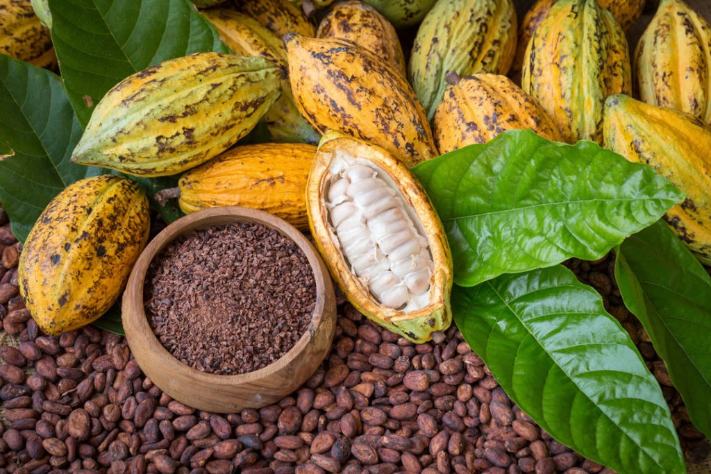 Nutresa Buys Ecuador Chocolate Icon Despite Colombia Trade War