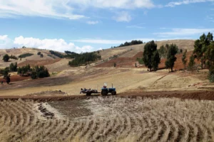 Peru’s $24 Billion Agriculture Irrigation Push Aims to Outpace Mining by 2050