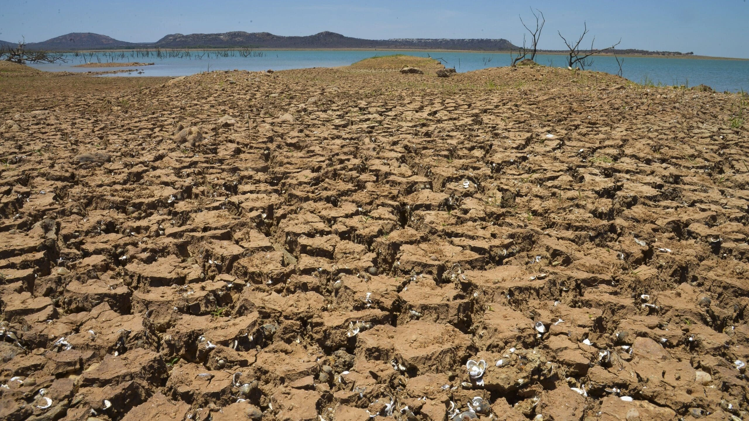 Thirsty Brazil: Water Shrinks Twice São Paulo’s Size