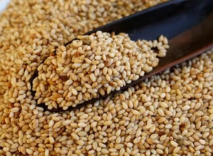 China Opens Doors to Brazilian Sesame Exports, Boosting Trade Ties