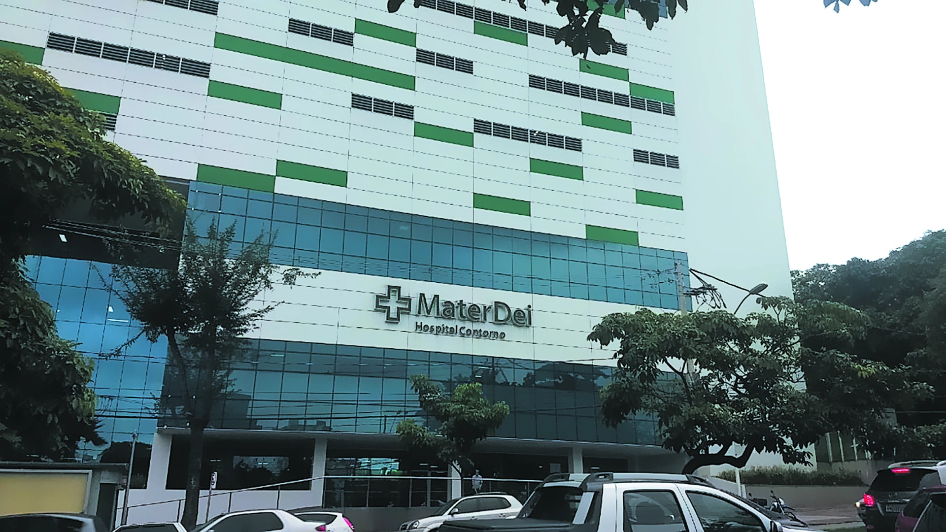 Mater Dei Posts Sharp Profit Decline in Q4 2024, Cancels Treasury Shares