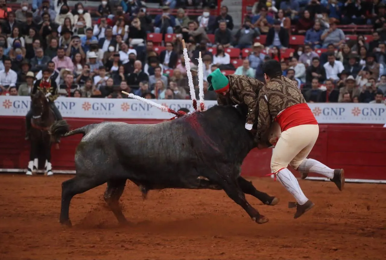 Mexico City Bans Violent Bullfighting: A Historic Compromise