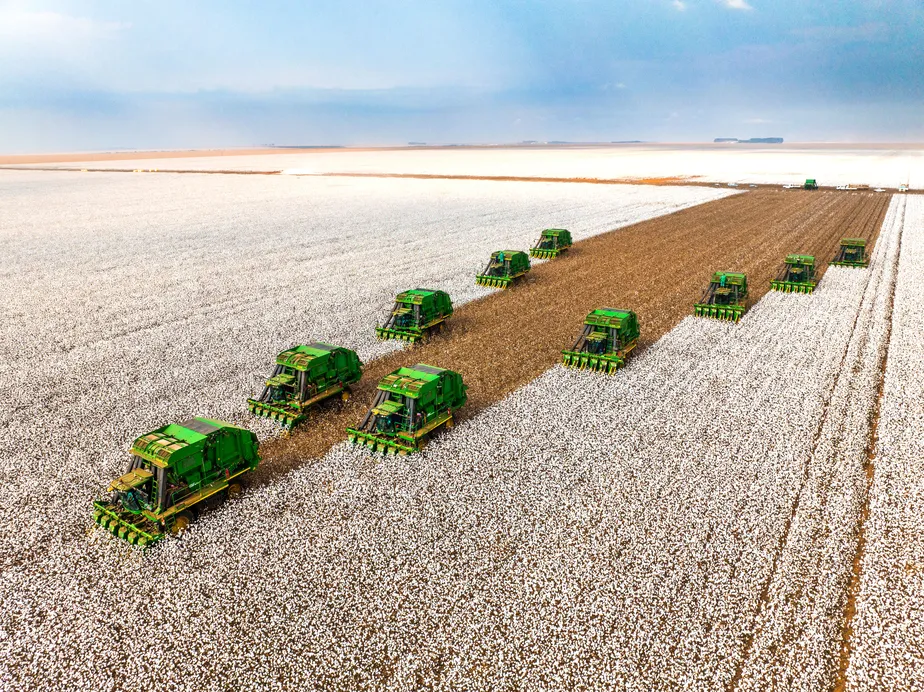 SLC Agrícola Narrows Q4 Losses While Securing Resources for 2025/26 Season
