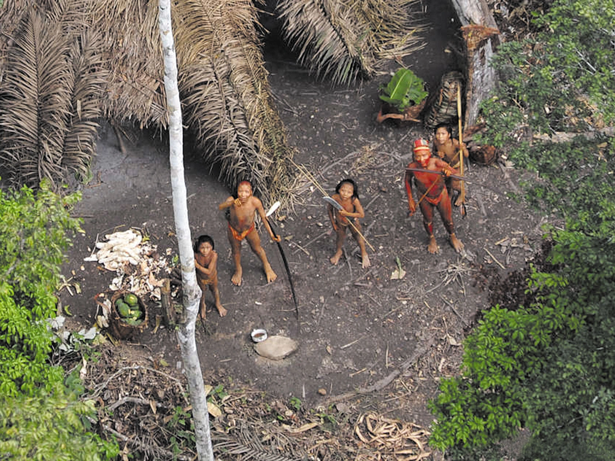 Brazil Documents 119 Indigenous Tribes Living in Voluntary Isolation